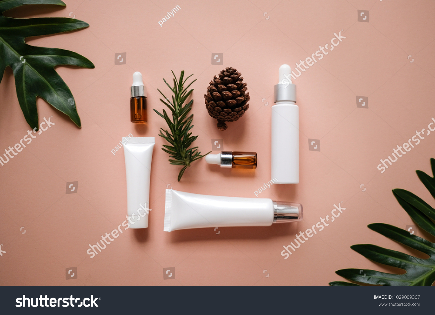 natural cosmetic cream , serum, skincare blank bottle packaging with leaves herb, wood . bio organic product.beauty and spa concept. #1029009367