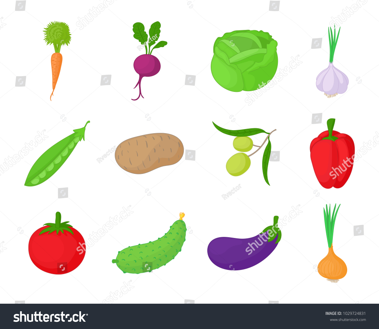 Vegetables icon set. Cartoon set of vegetables vector icons for web design isolated on white background #1029724831