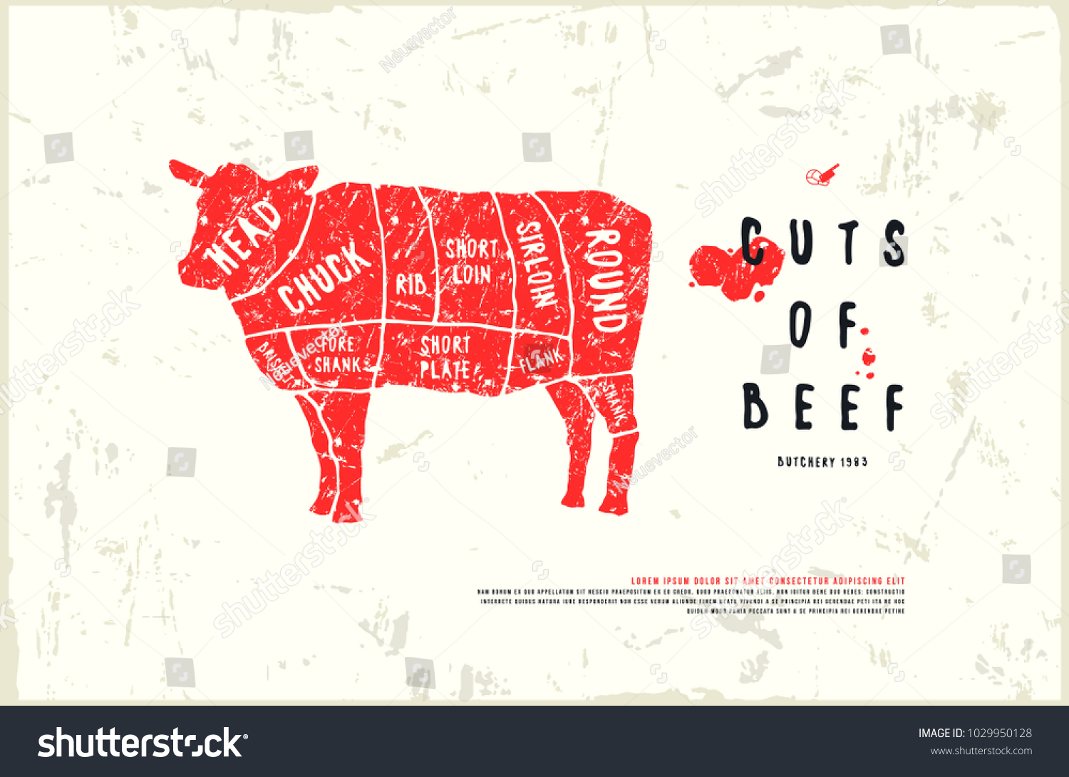 Stock Vector Beef Cuts Diagram In The Style Of Royalty Free Stock Vector 1029950128