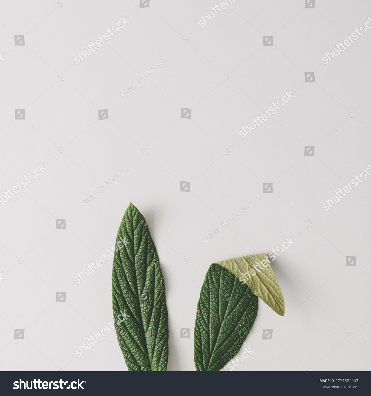 Bunny rabbit ears made of natural green leaves on bright background. Easter minimal concept. Flat lay. #1031624932