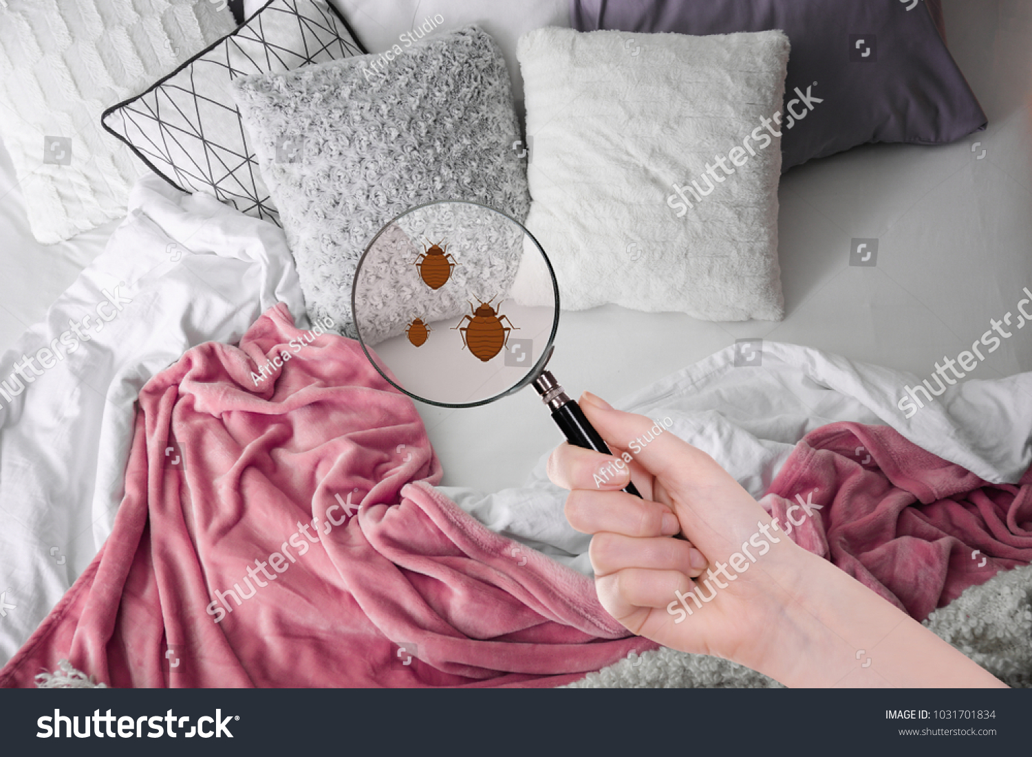 Woman with magnifying glass detecting bed bugs in bedroom #1031701834