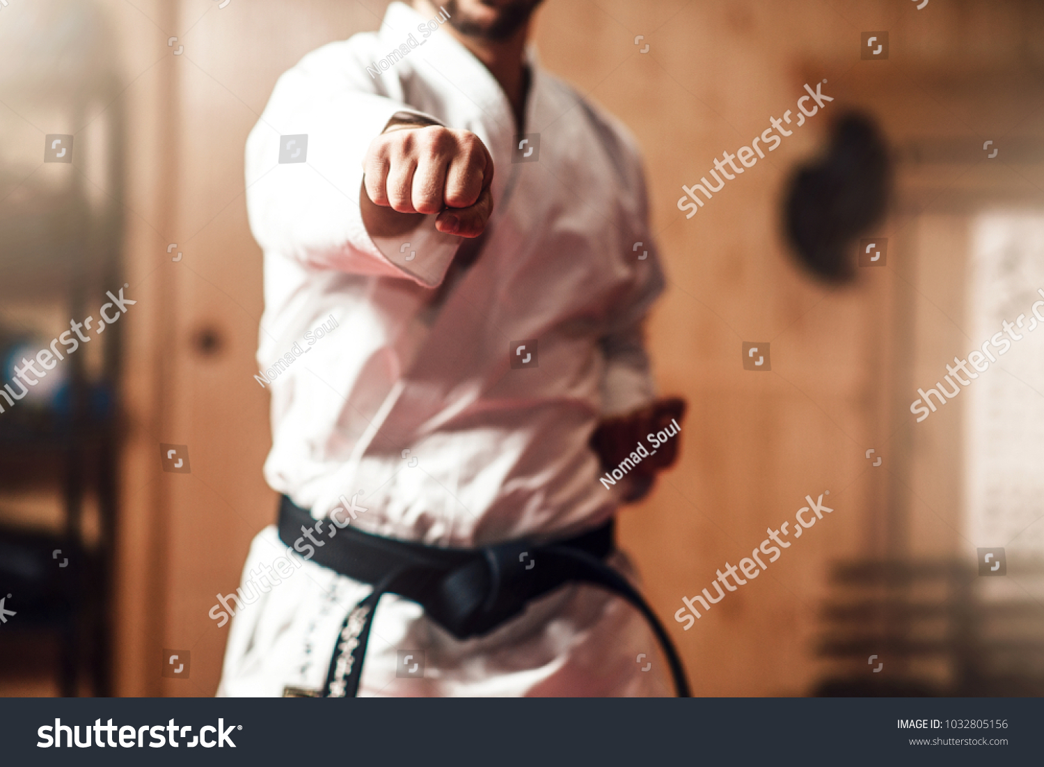 Martial arts master on fight training in gym #1032805156