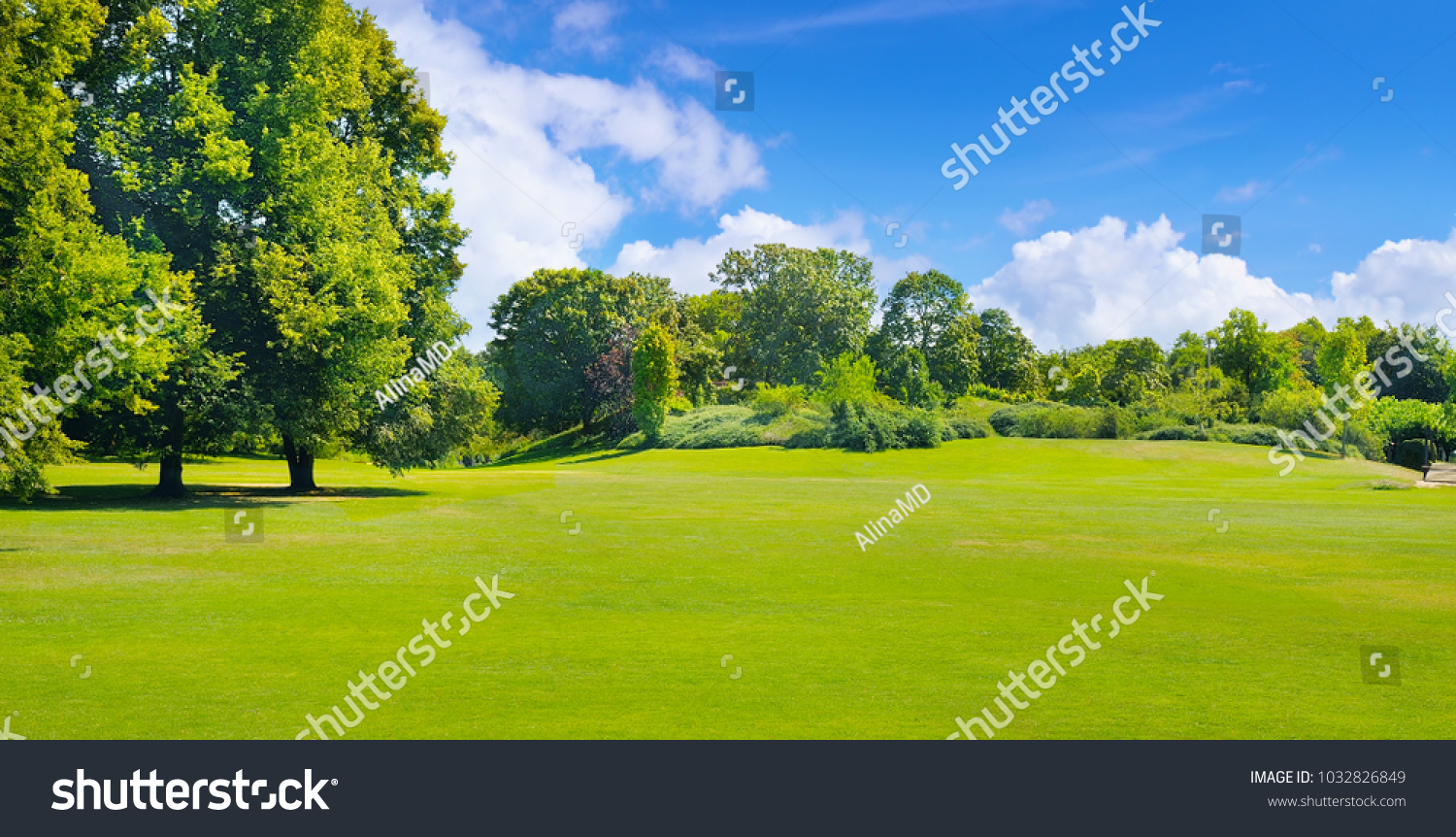 Summer park with deciduous trees and broad lawns. In the blue sky, light cumulus clouds. Wide photo. #1032826849