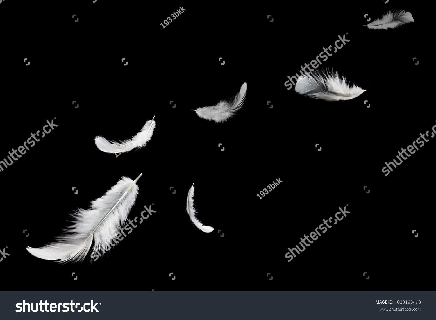 Abstract, soft white feather floating in the air, isolated on black background #1033198498