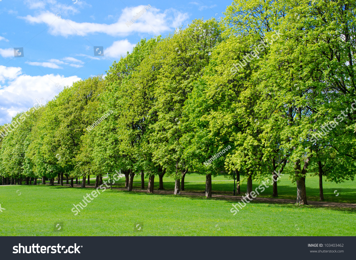Tree line in the popular Vigeland park in Oslo, Norway #103403462
