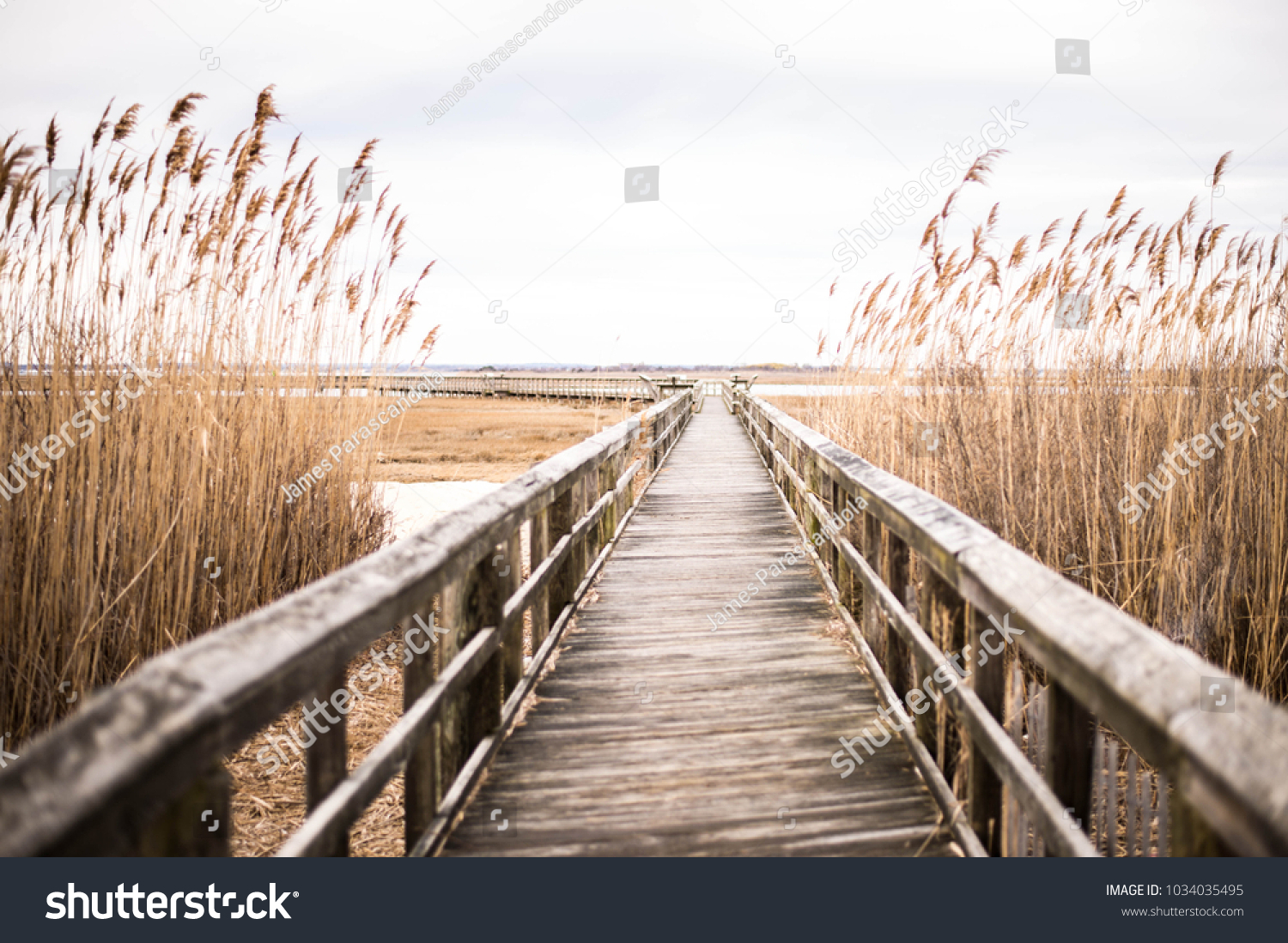 A wooden pier in Long Island, New York at Sunset. #1034035495