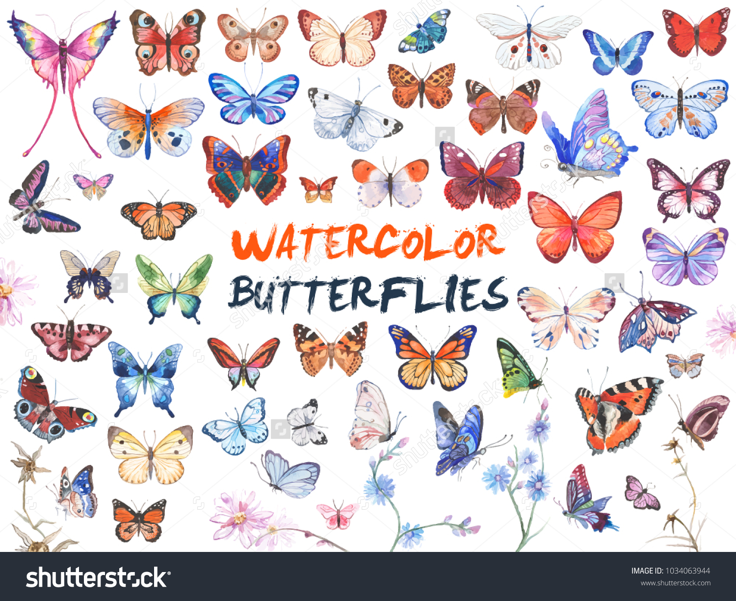 Vector illustration of watercolor butterflies isolated on white background #1034063944