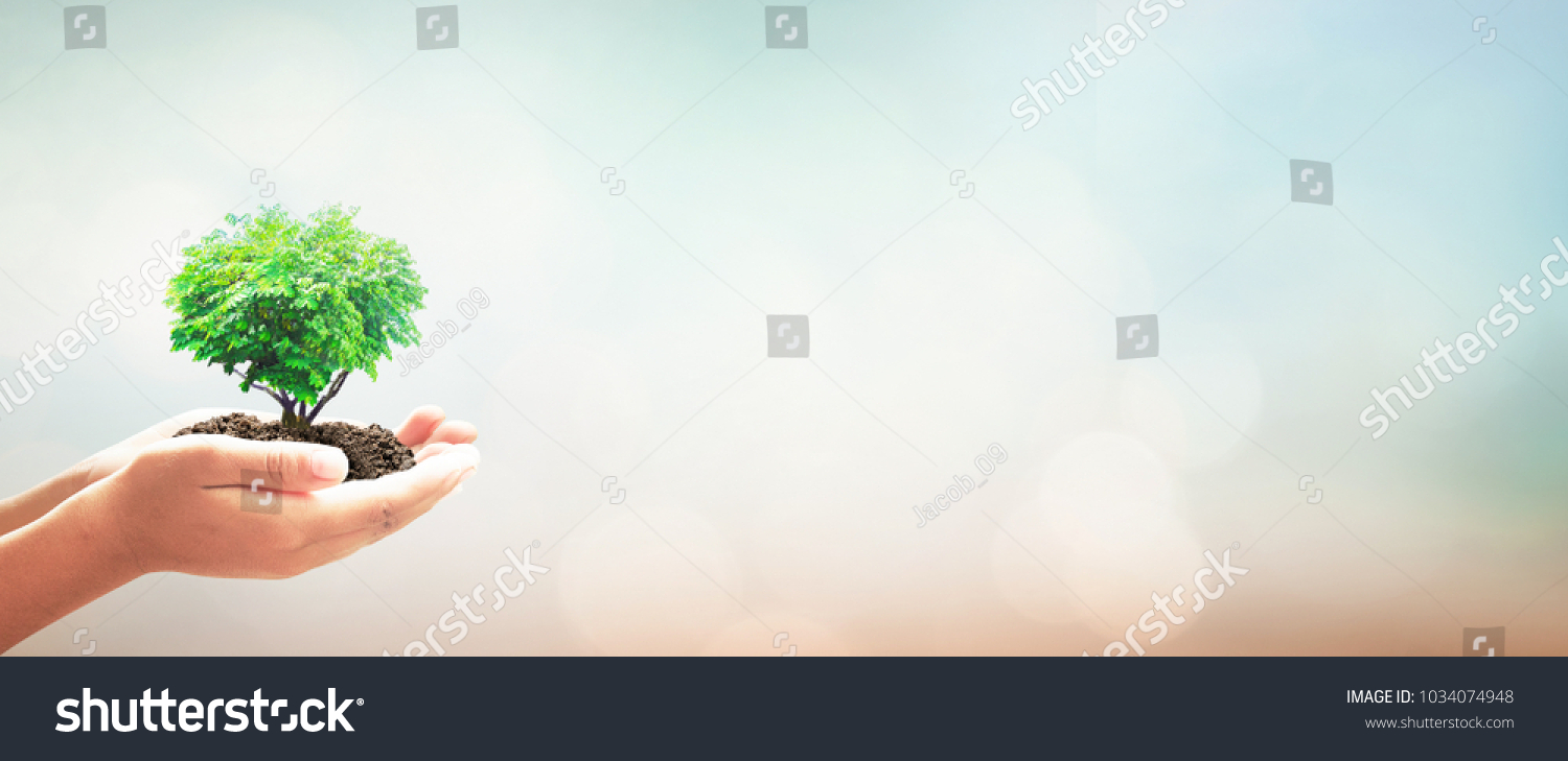 Eco friendly concept: Human hands holding heart shape of big green tree over blurred green nature background #1034074948