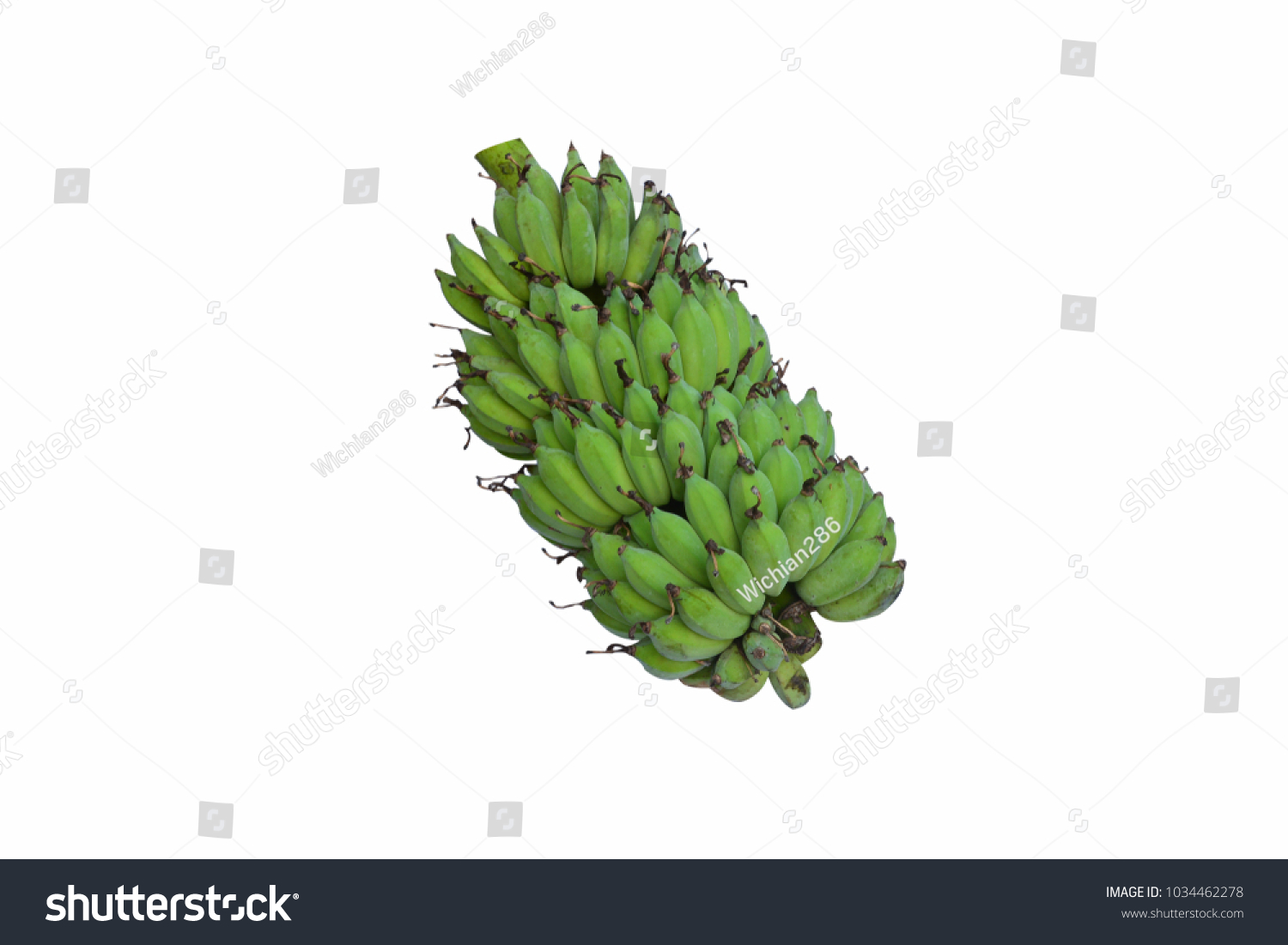  Raw bananas from the garden On a white background #1034462278