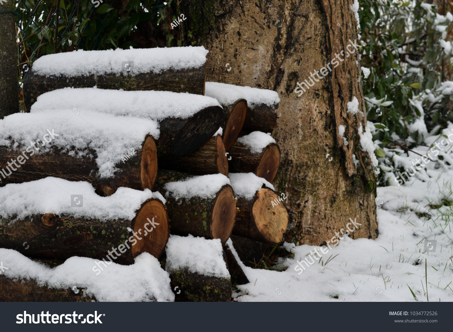 Winter wood log pile. A mosaic of wood stocks covered by a mantle of snow. #1034772526