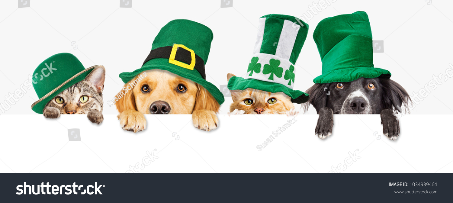 Row of cute dogs and cats wearing green St Patrick's Day hats while peeking over a blank white web banner or social media cover #1034939464