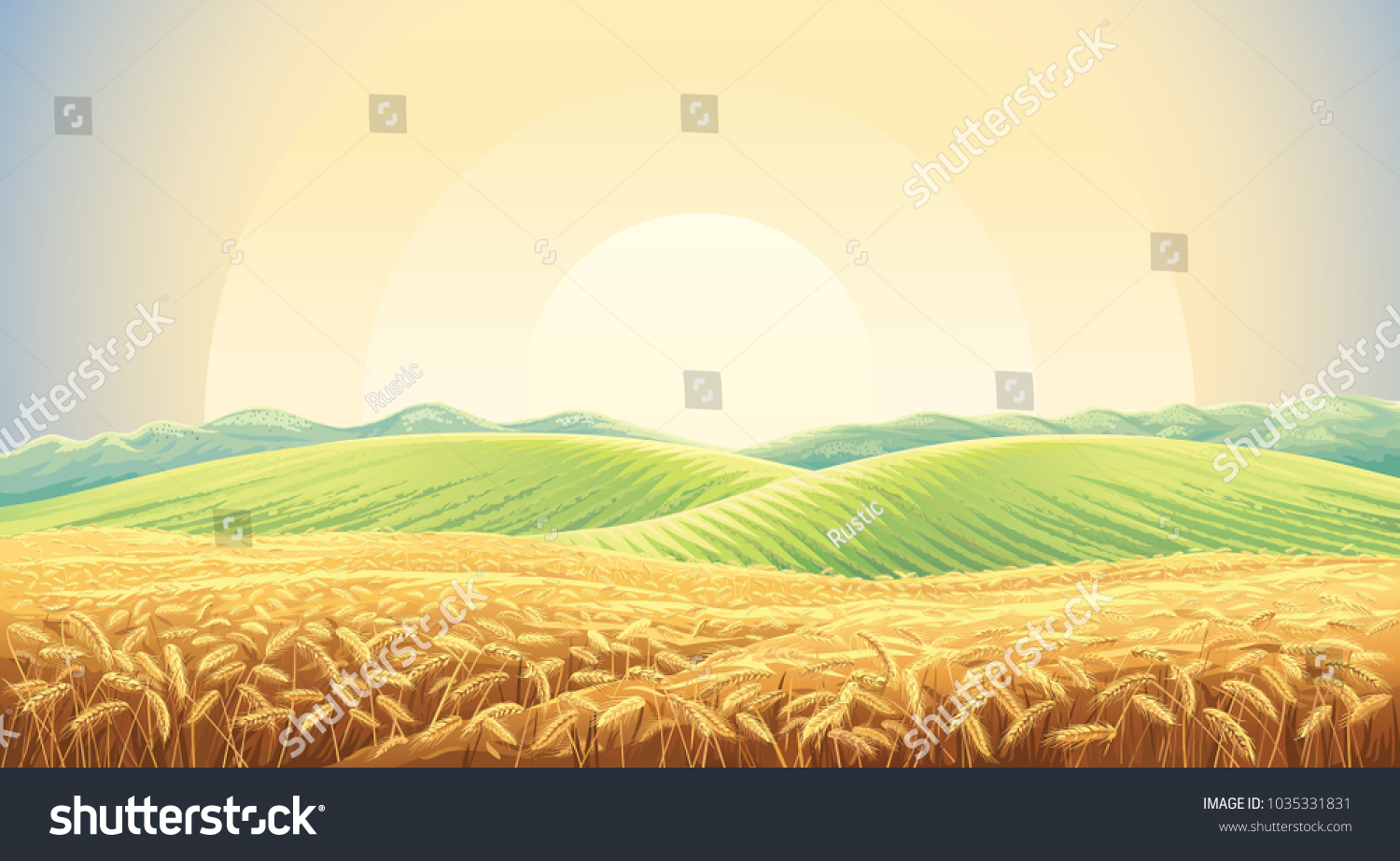 Summer landscape with a field of ripe wheat, and hills and dales in the background #1035331831
