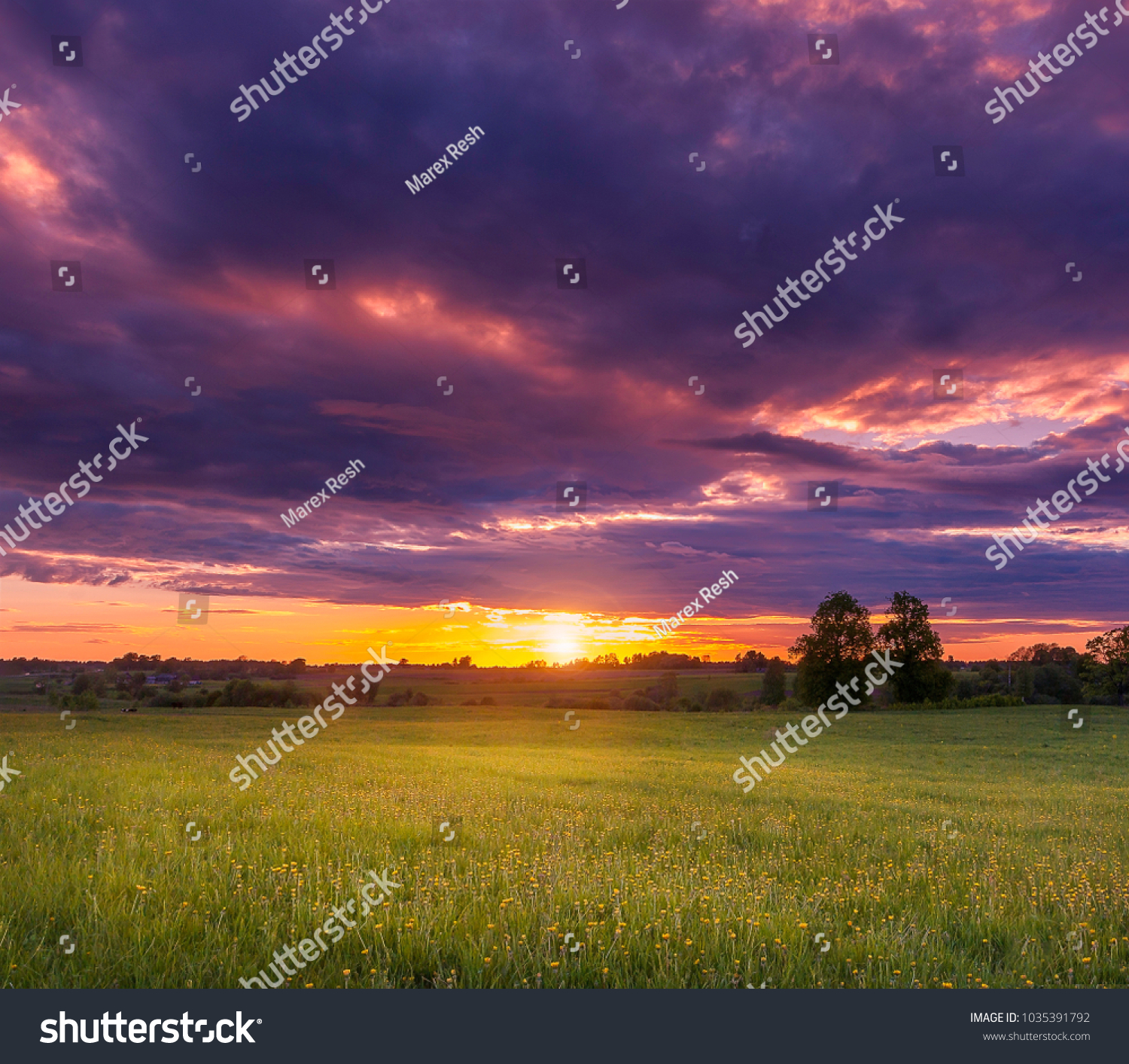 Summer sunset on the field with very beautiful light and sky #1035391792