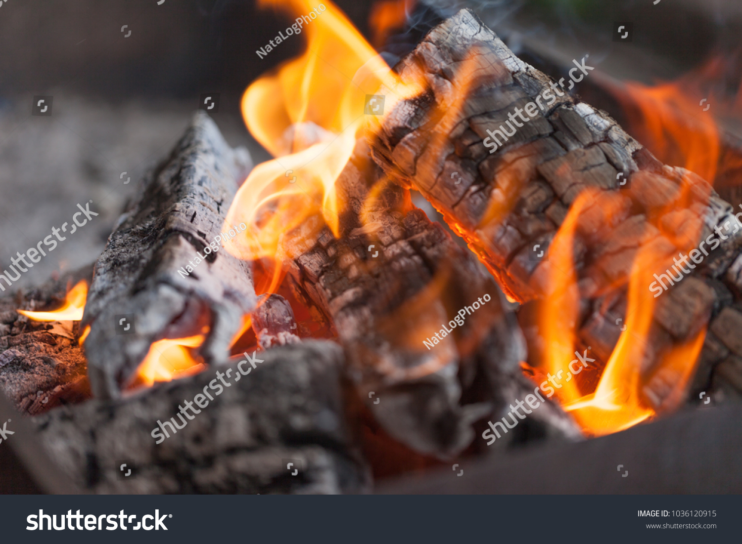 Fire with charcoals. Burning wood. Macro. Live flames with smoke. Wood with flame for barbecue and cooking bbq. Bright color. Orange #1036120915