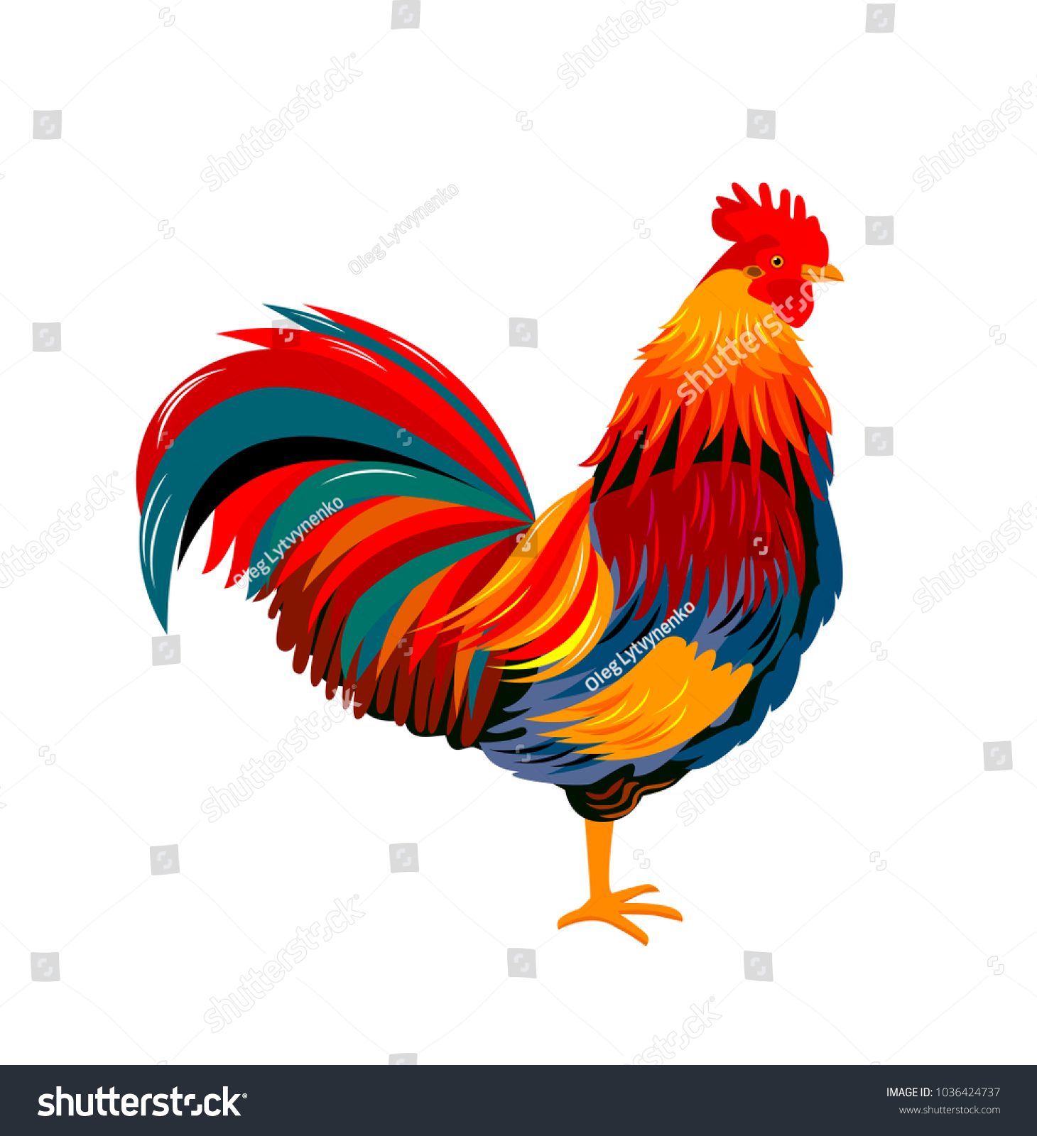 Colorful Beautiful Cock On A White Background Royalty Free Stock