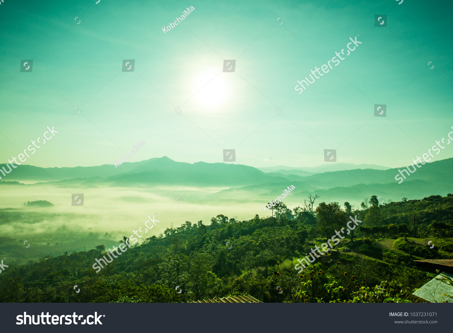 Beautiful Mountain View of Phu Langka National Park, Thailand. #1037231071