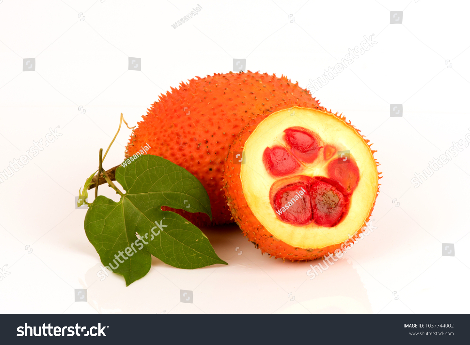 Gac fruit have beta carotene and lycopene and Royalty Free Stock