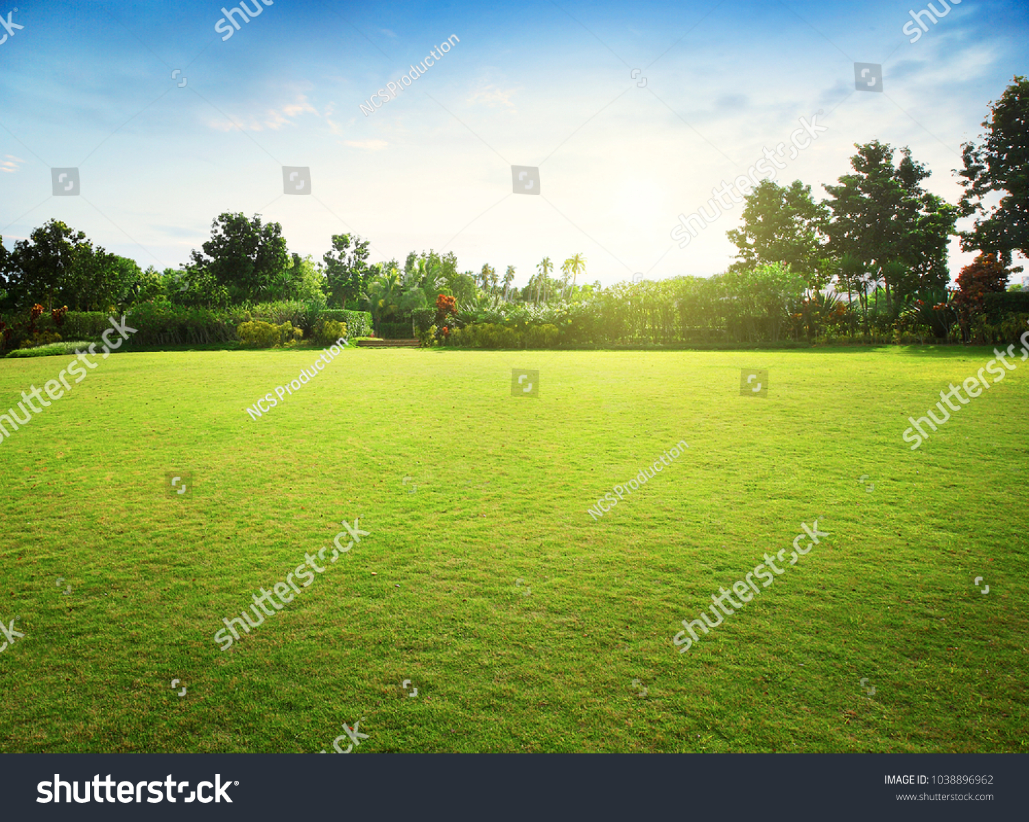 Natural green grass field in sunrise #1038896962
