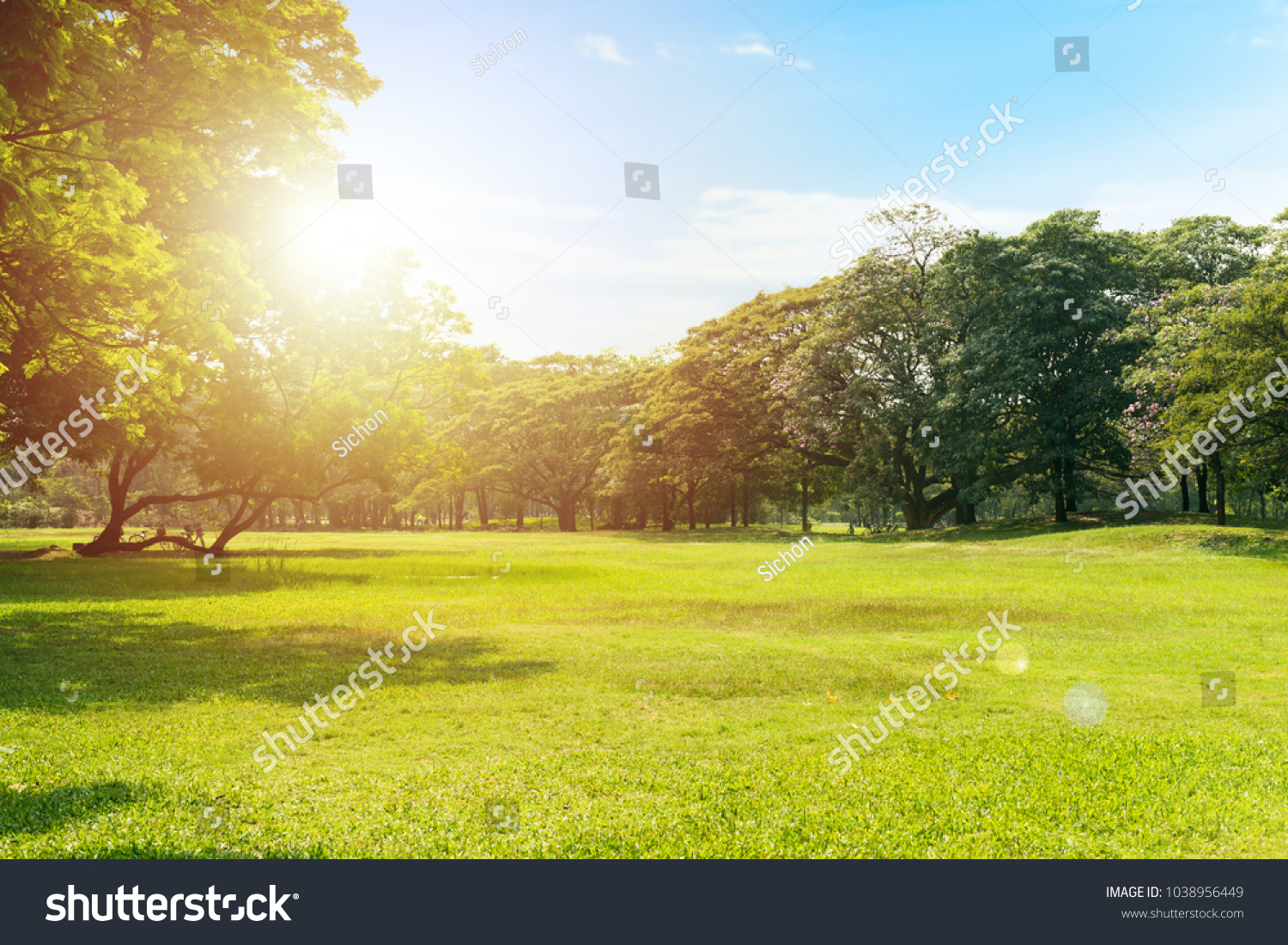 Scenic view of the park with green grass field in city and a cloudy blue sky background #1038956449
