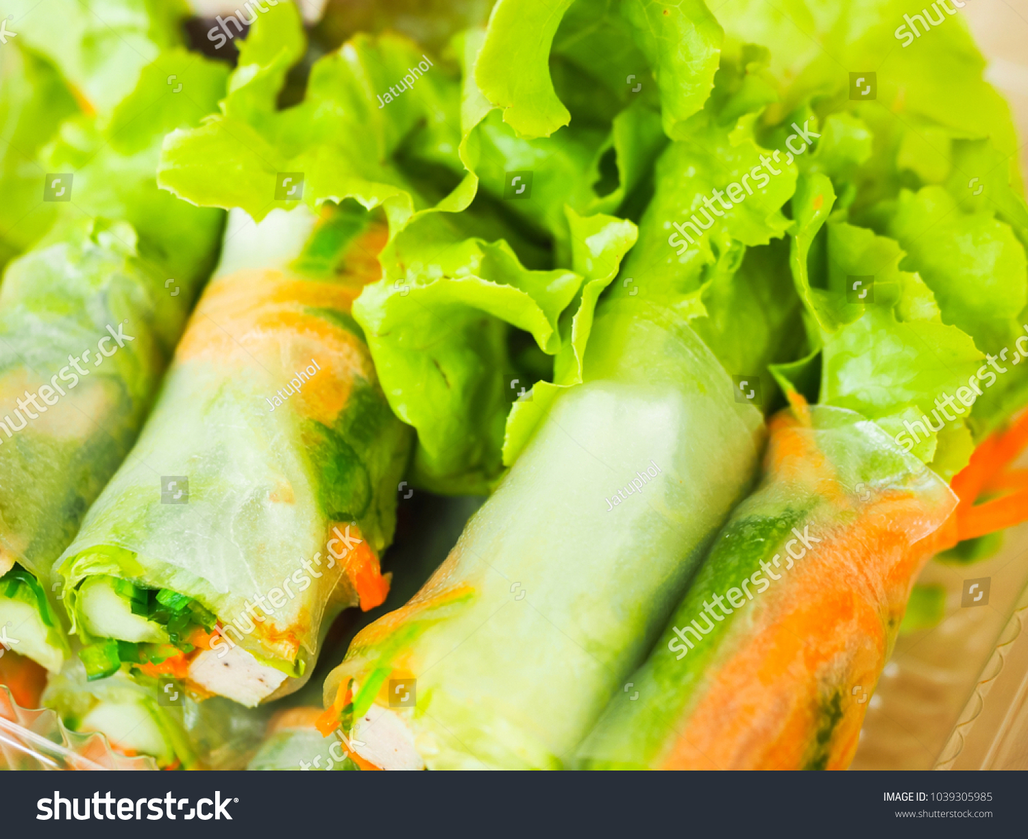 Salad Rolls made of Vegetables with Mayonnaise Sauce #1039305985