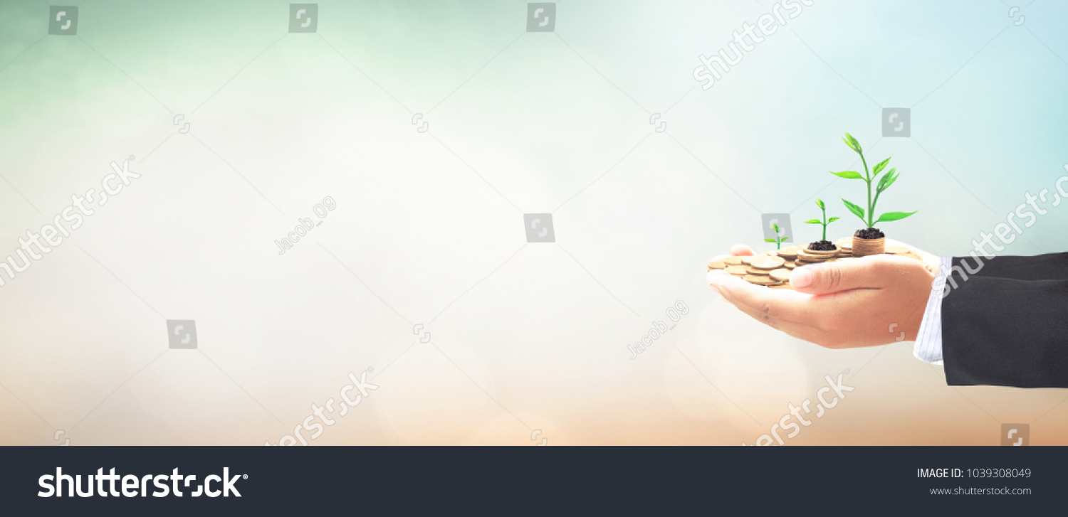 Wealth Management concept: Businessman hands save holding stack of golden coin with small tree on blurred nature background #1039308049