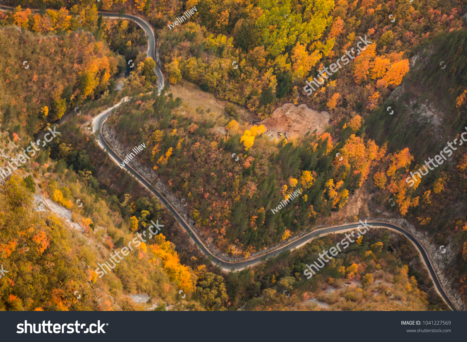 Aerial view of thick forest in autumn with road cutting through #1041227569