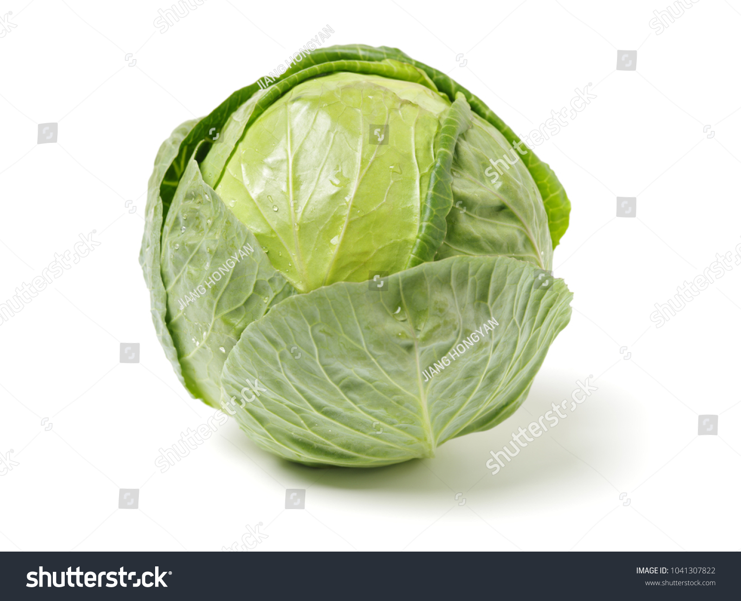 cabbage on white background #1041307822