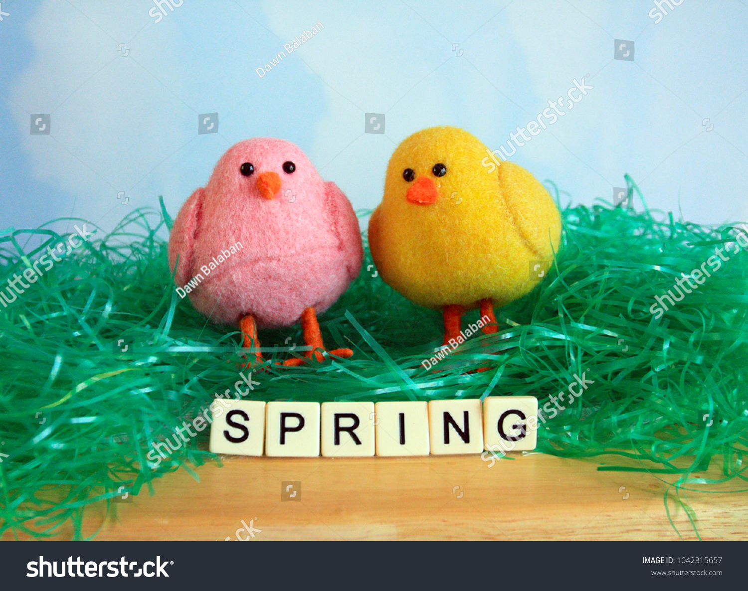 two chicks pink and yellow on green Easter grass and wood with the words spring spelled out in front of the chicks on a sky and clouds background #1042315657