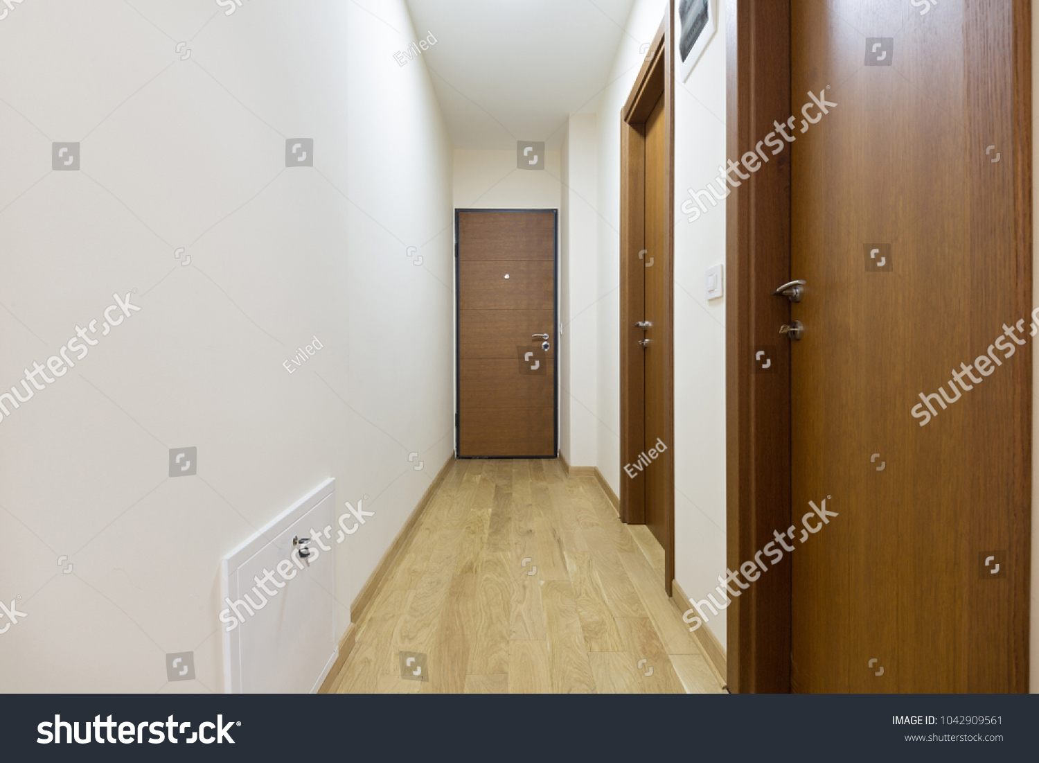 Entrance corridor, apartment interior #1042909561
