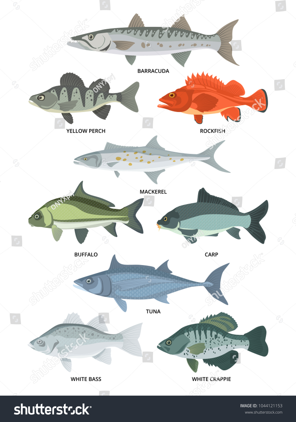 Cartoon illustrations of freshwater and ocean - Royalty Free Stock ...