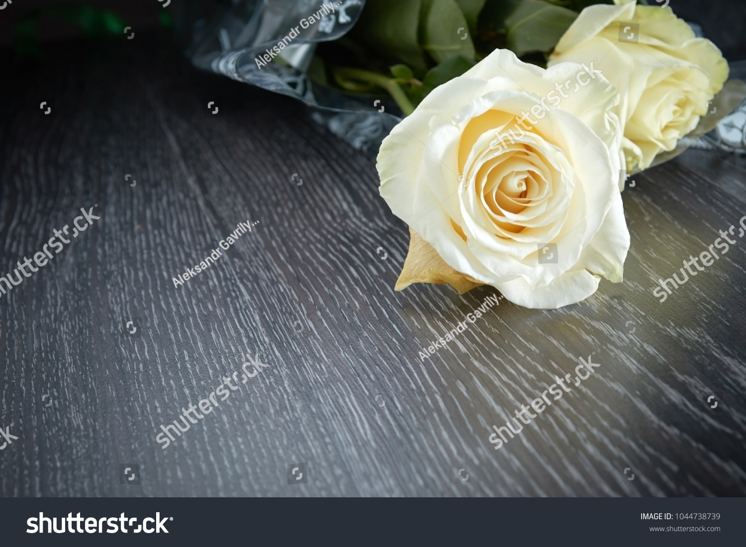 fresh white roses on a dark wooden background for postcard #1044738739