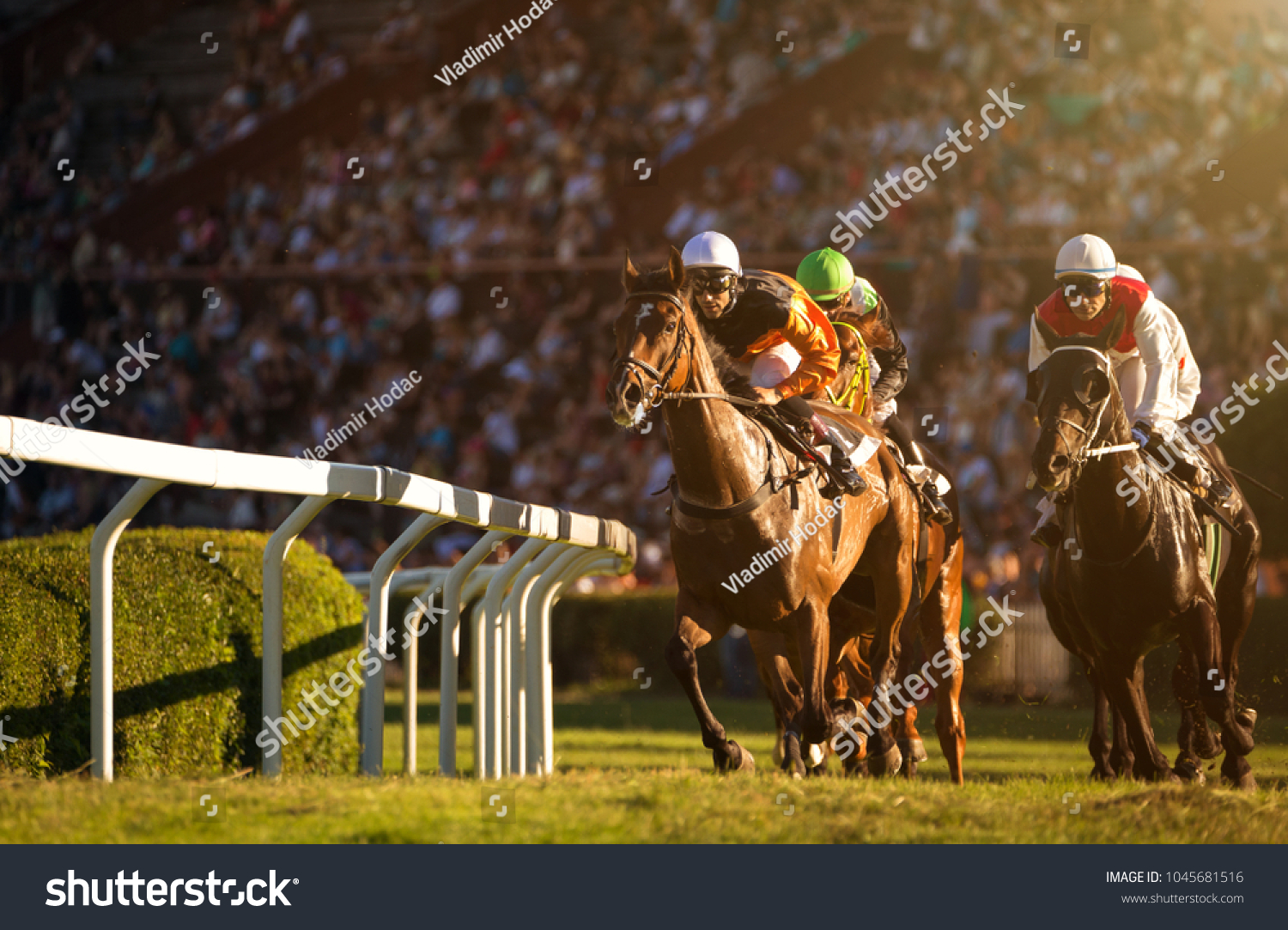 Two jockeys during horse races on his horses going towards finish line. Traditional European sport. #1045681516