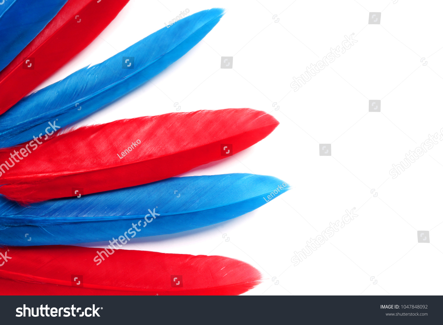 Blue and red feathers. Carnival. Colored  feathers #1047848092