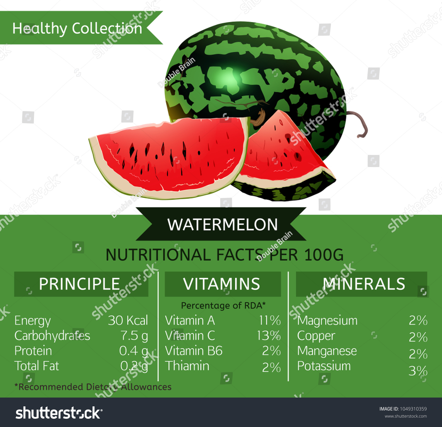 The Watermelon Health Benefits. Vector - Royalty Free Stock Vector ...