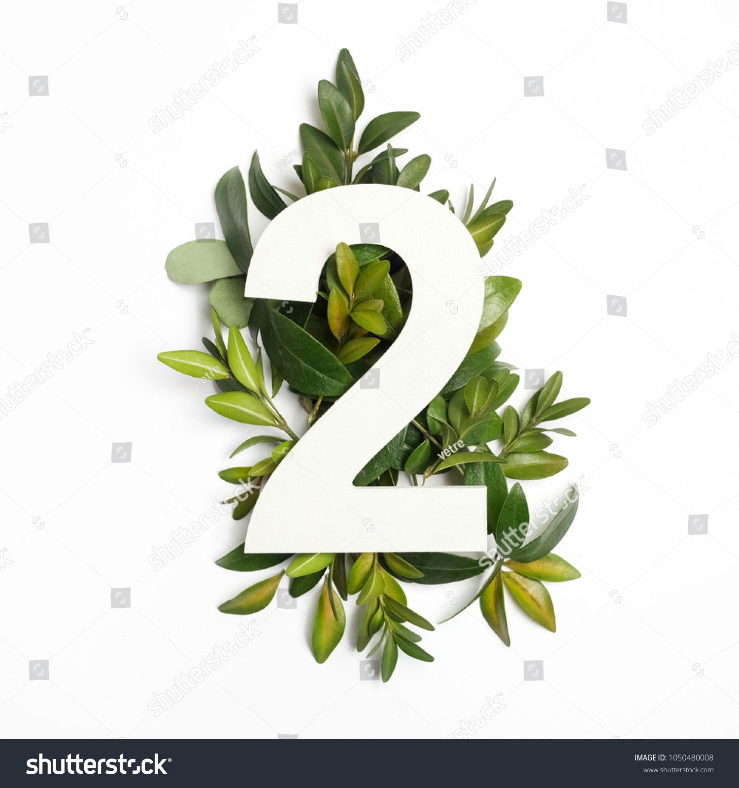 Number two shape with green leaves. Nature concept. Flat lay. Top view #1050480008