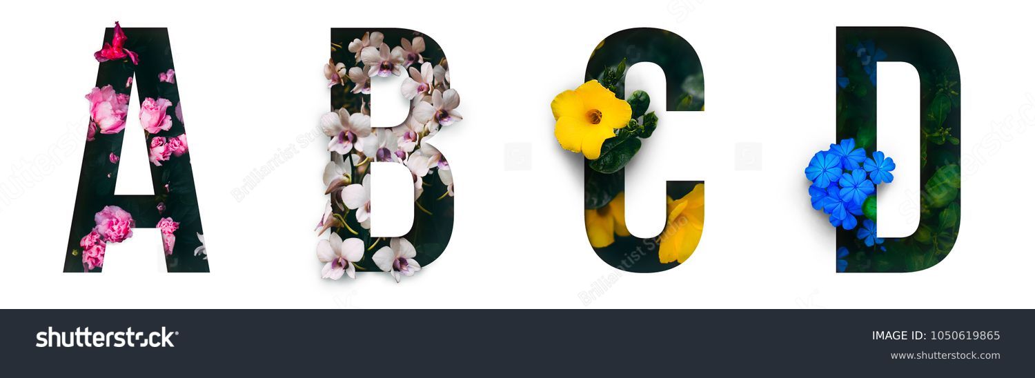Flower font Alphabet a, b, c, d made of Real alive flowers with Precious paper cut shape of letter. Collection of brilliant flora font for your unique decoration in spring, summer & many concept idea #1050619865