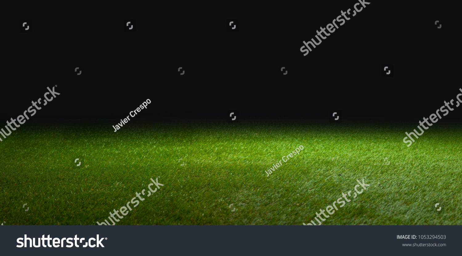 grass for soccer #1053294503