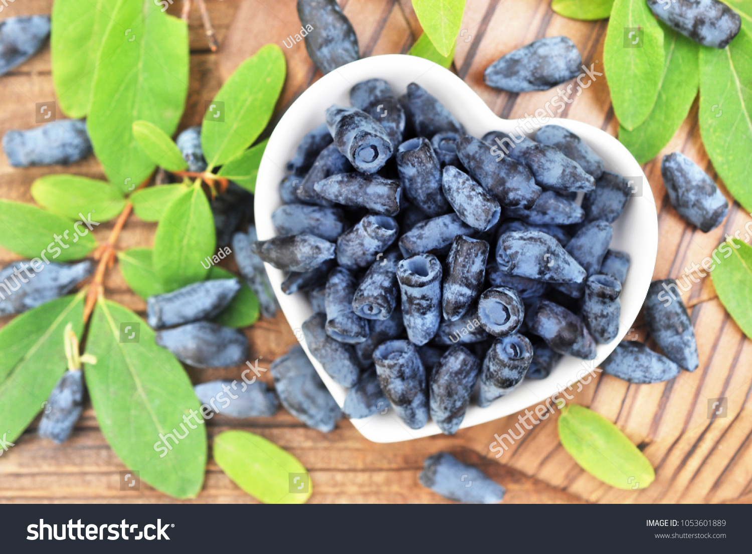 Fresh honeysuckle berries on berries and leaves background #1053601889