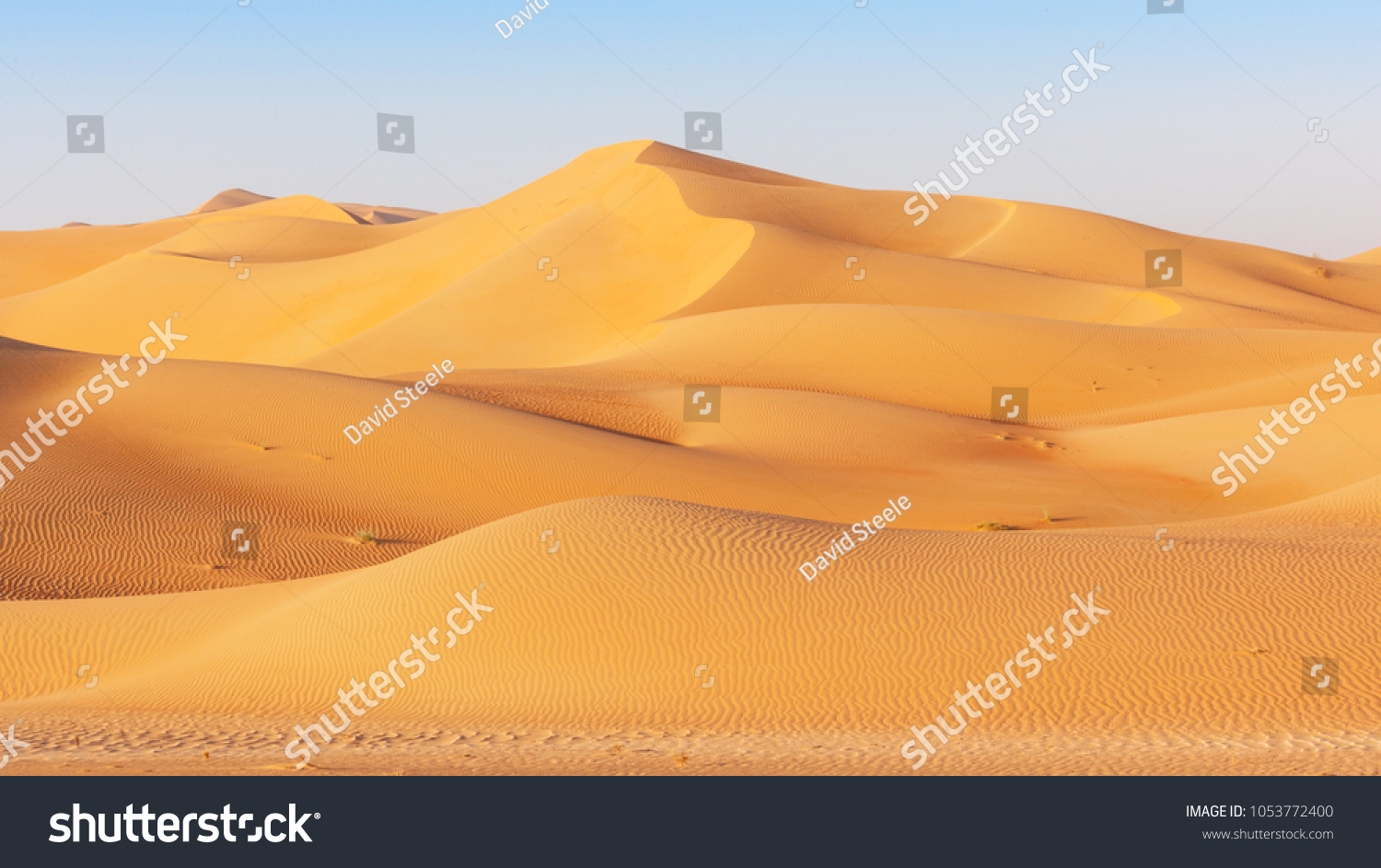 A dune landscape in the Rub al Khali or Empty Quarter. Straddling Oman, Saudi Arabia, the UAE and Yemen, this is the largest sand desert in the world. #1053772400