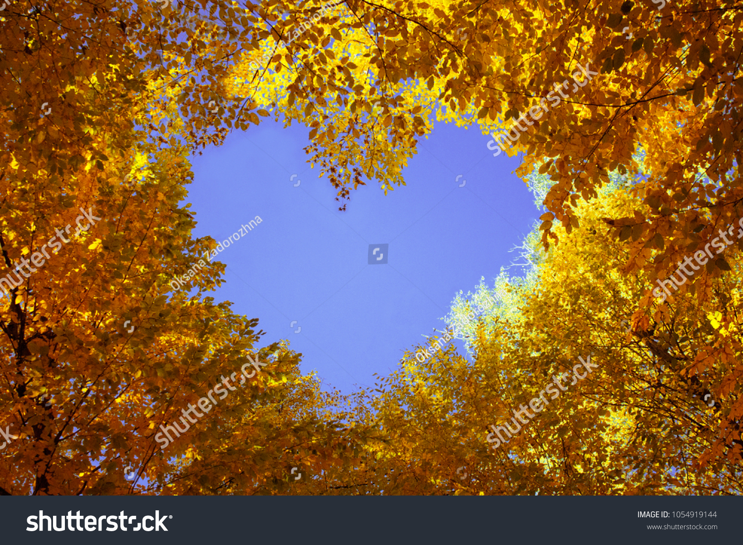 Heart from autumn leaves with blue sky inside #1054919144