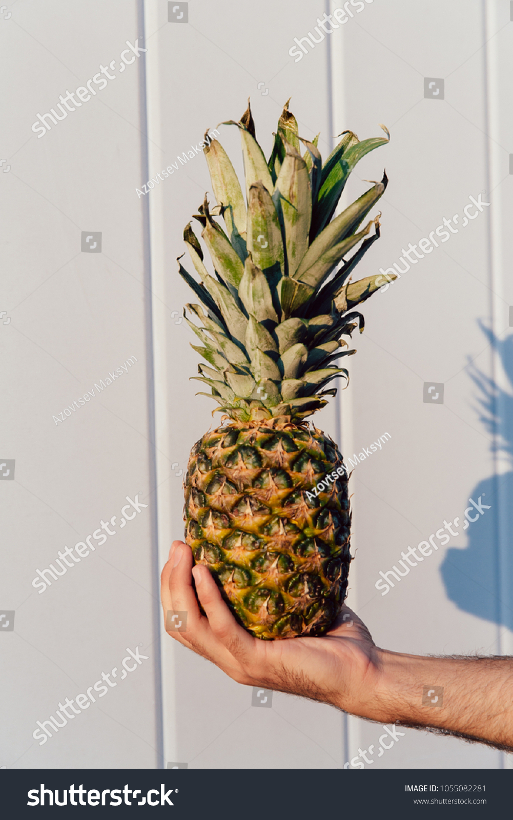 Close-up photo of male hand holding a great pineapple, against the white wall. Summer concept. #1055082281