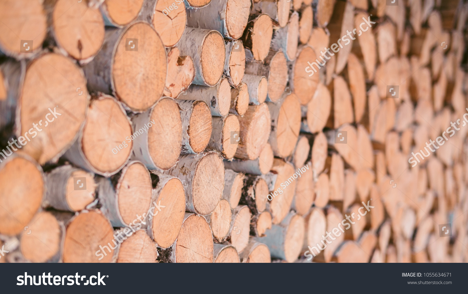 Firewood for the winter, stacks of firewood, pile of firewood. Firewood stacked and prepared for winter. #1055634671