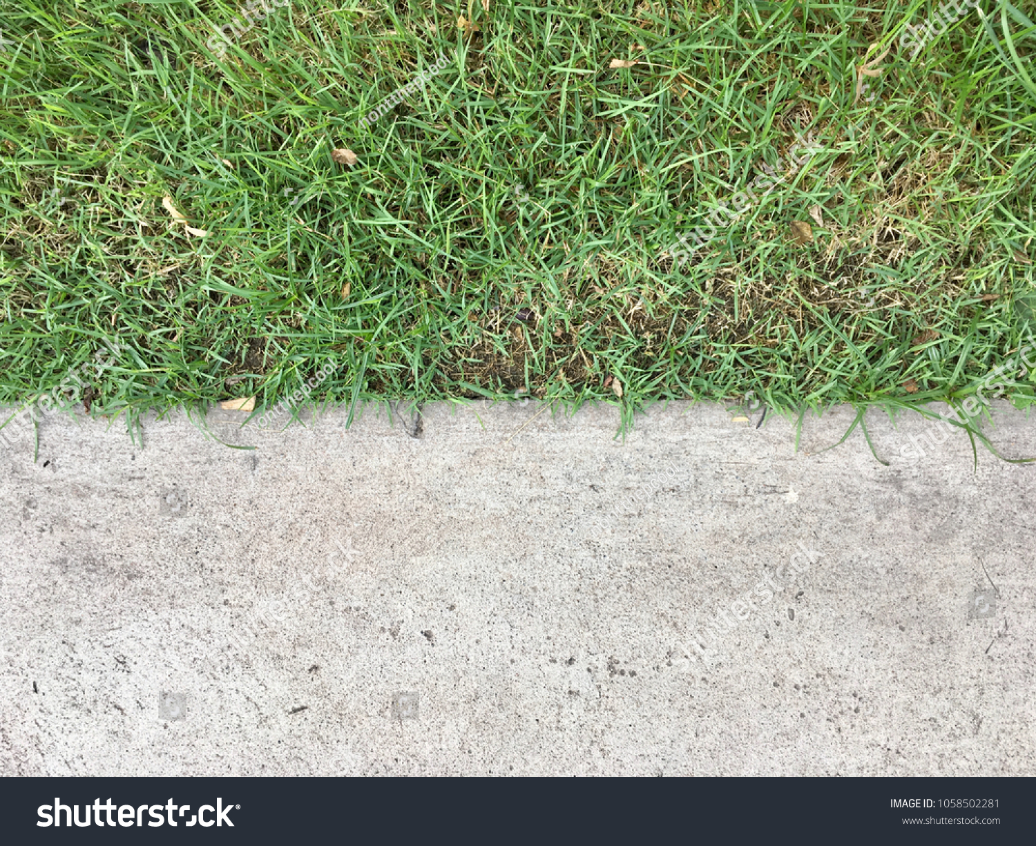 Grass with cement floor texture for background design #1058502281