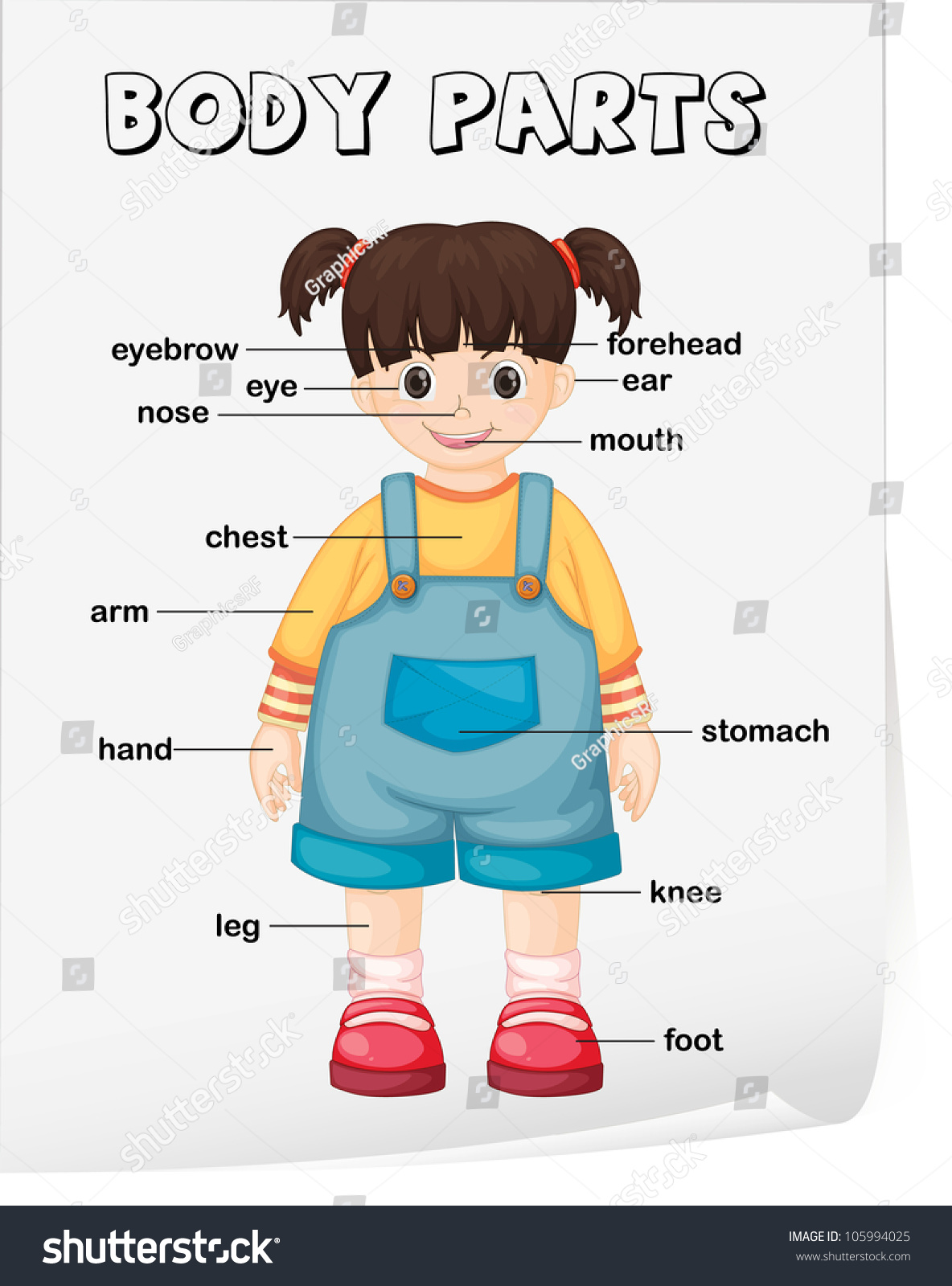 worksheet Parts Of The Body Worksheet royalty free vocabulary worksheet parts of the body 105994025 105994025