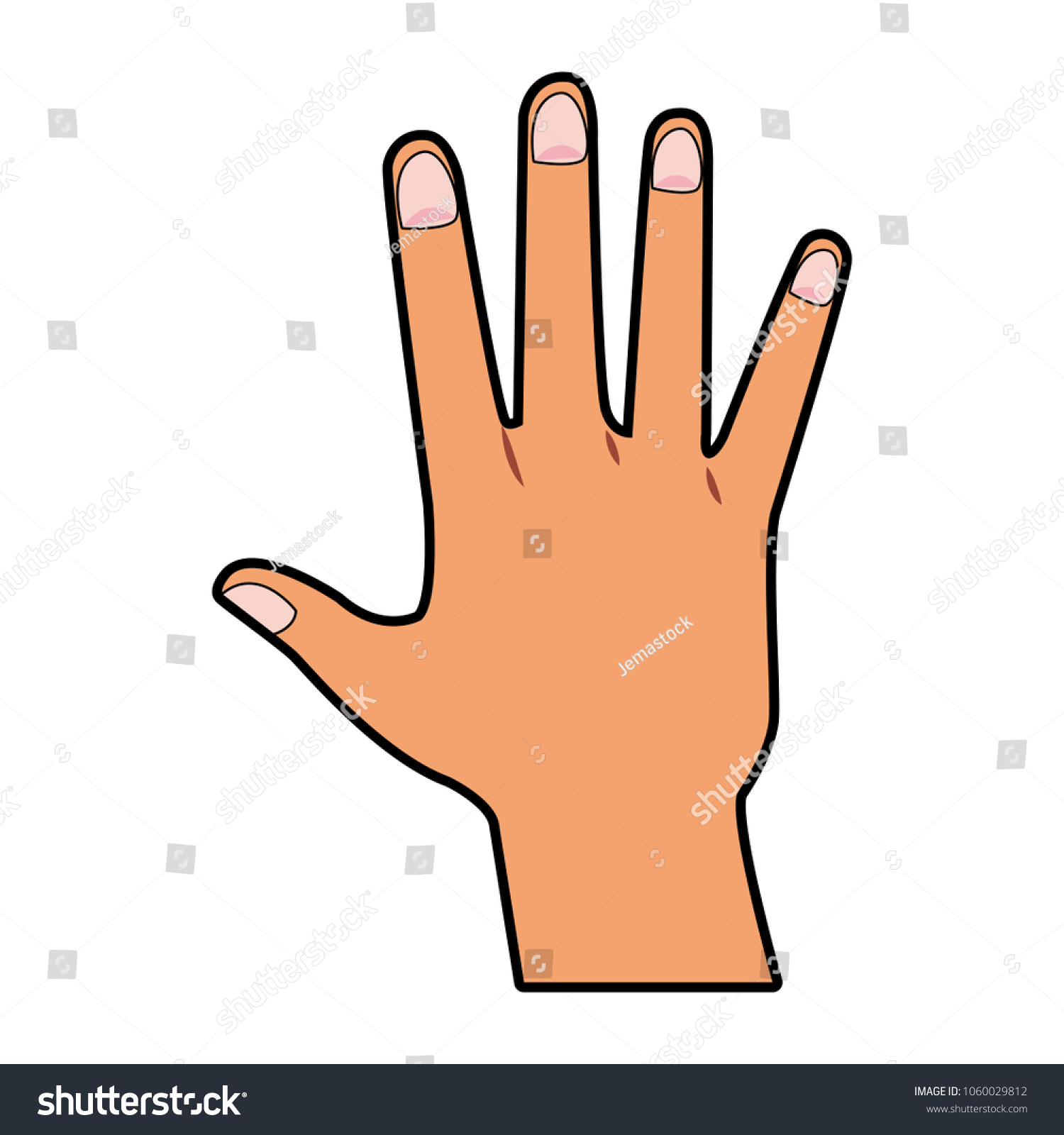 Human Hand Cartoon - Royalty Free Stock Vector 1060029812 - Avopix.com