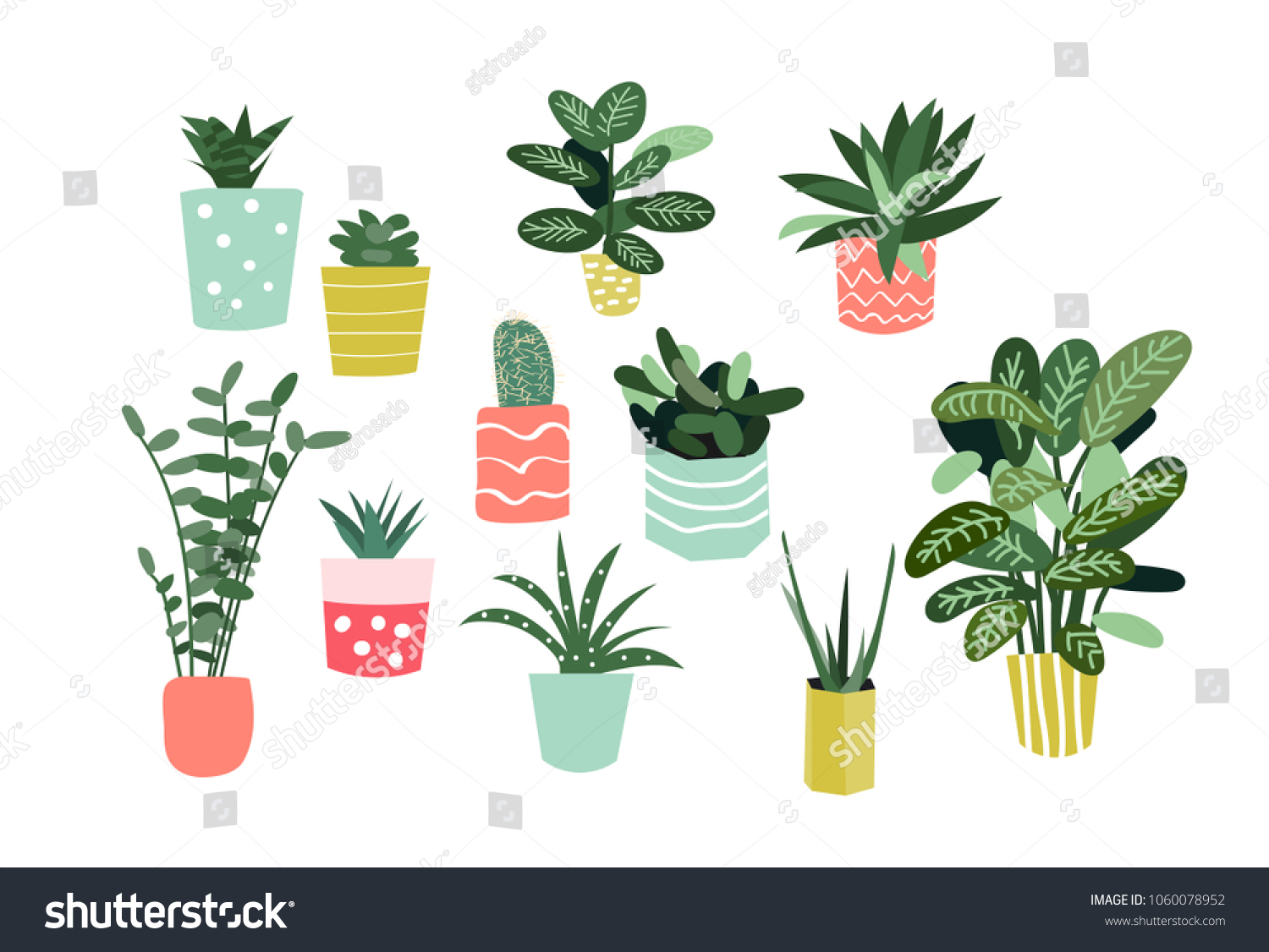 Potted Plants Collection Succulents And House Royalty Free Stock Vector 1060078952 