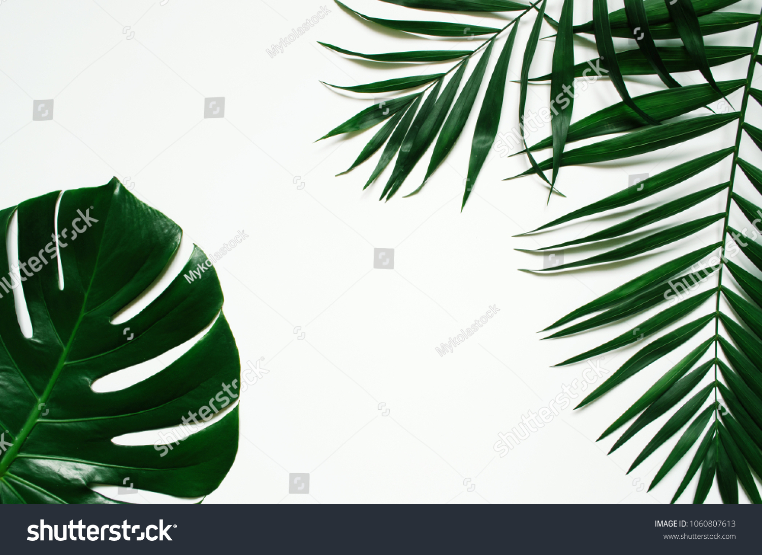 Green flat lay tropical palm leaf branches on white background. Room for text, copy, lettering. #1060807613
