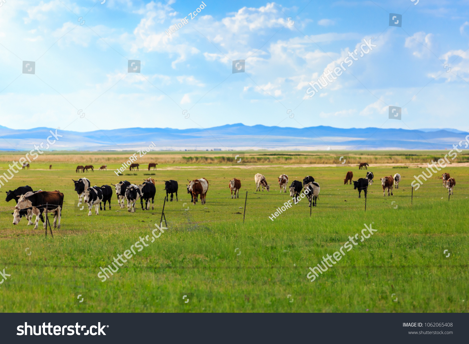 Herds on the grasslands of Inner Mongolia #1062065408