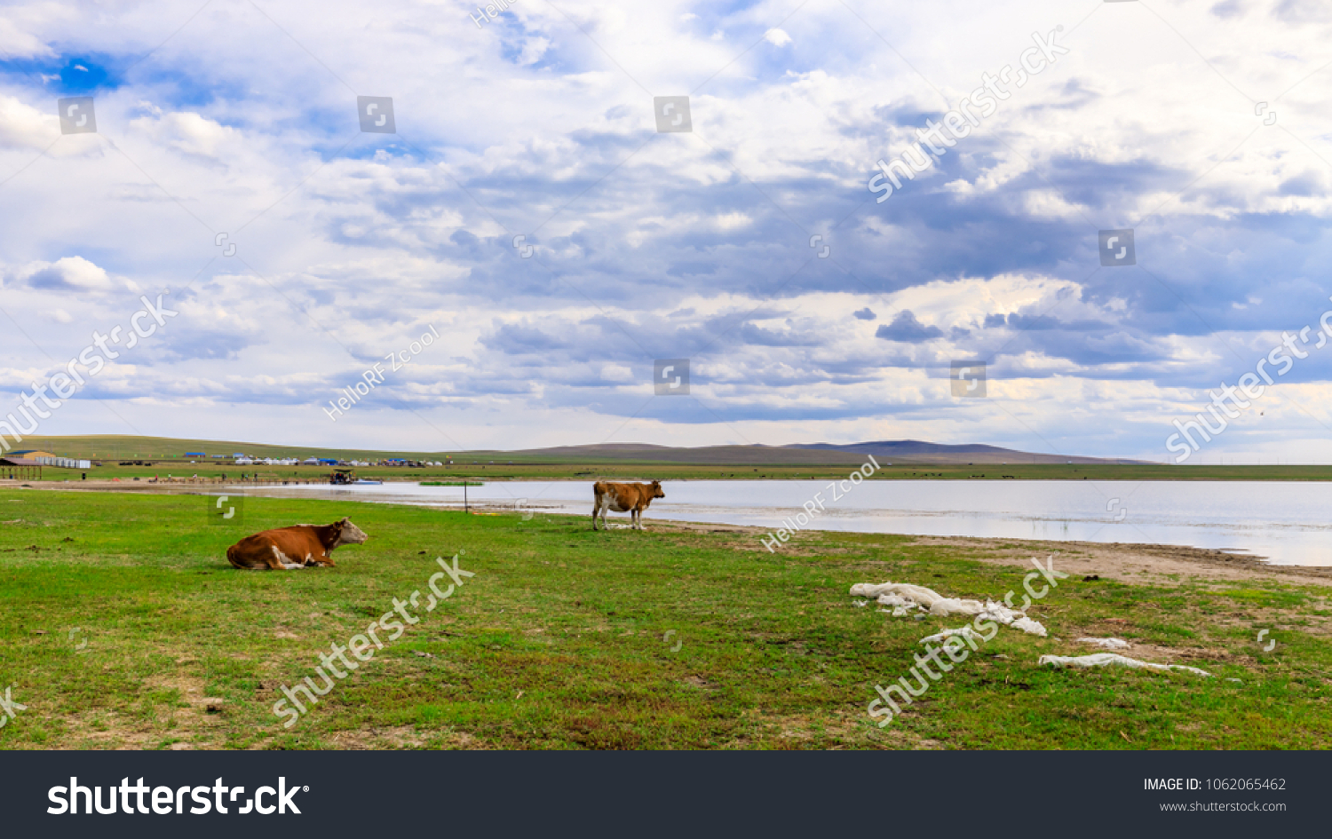 Herds on the grasslands of Inner Mongolia #1062065462
