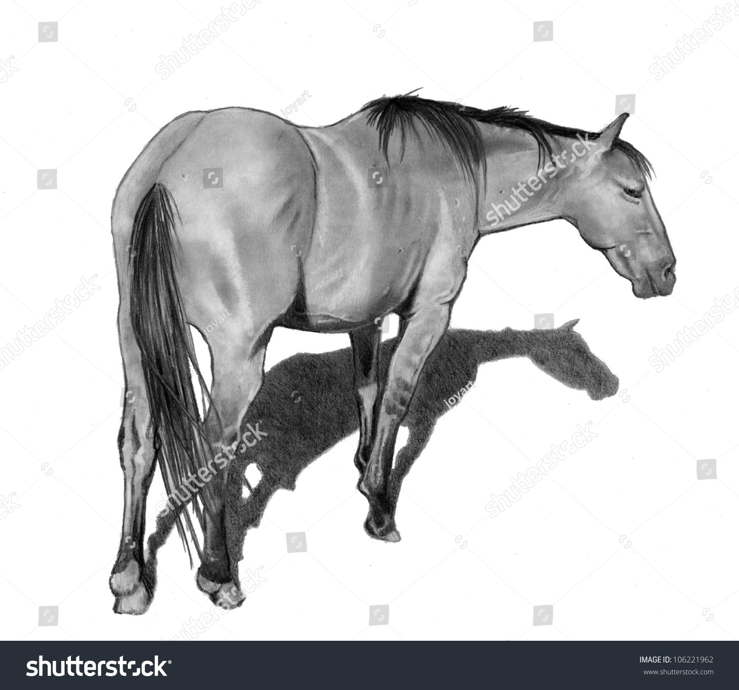 Pencil Drawing of A Horse #106221962